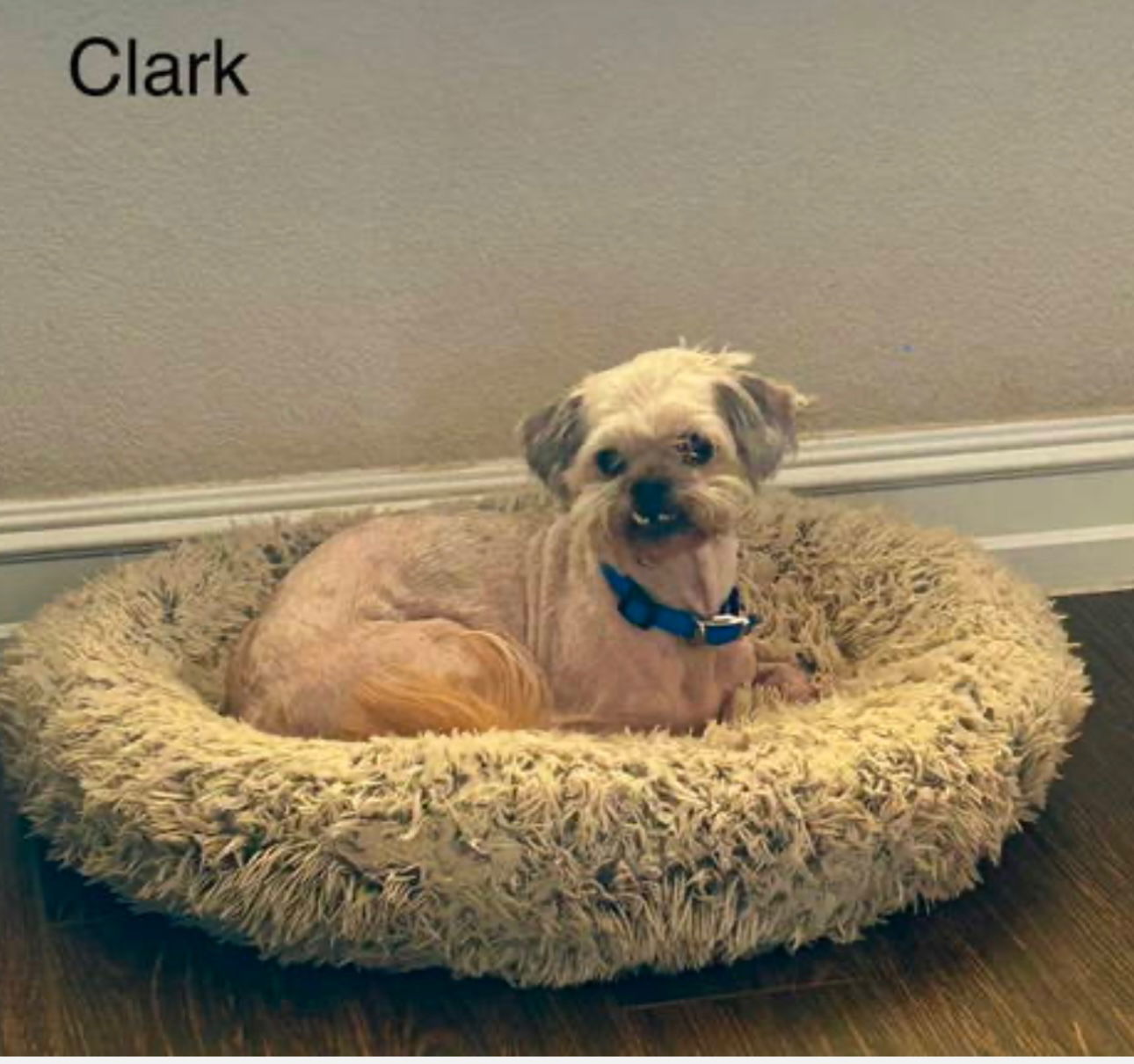 Clark