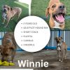Winnie JD photo 2