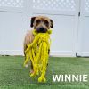 Winnie JD photo 6