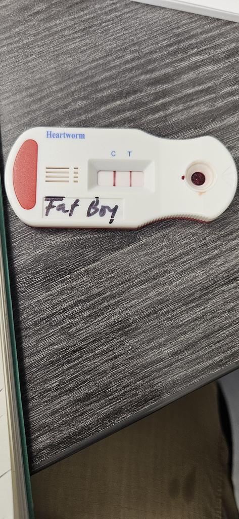 Fat Boy