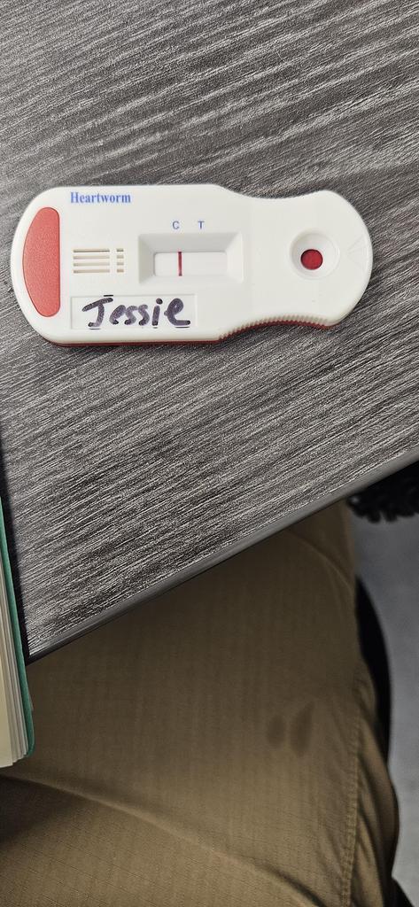 Jessie