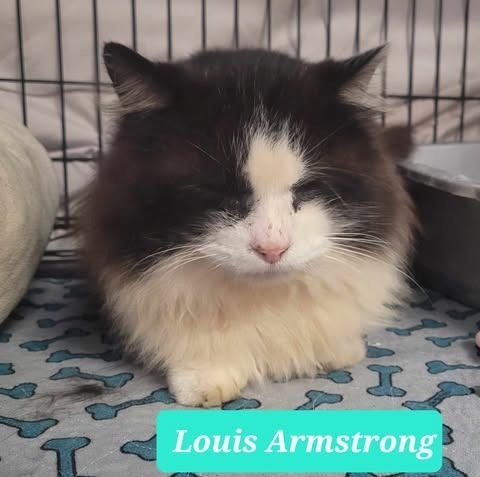 Louis Armstrong-Sponsored