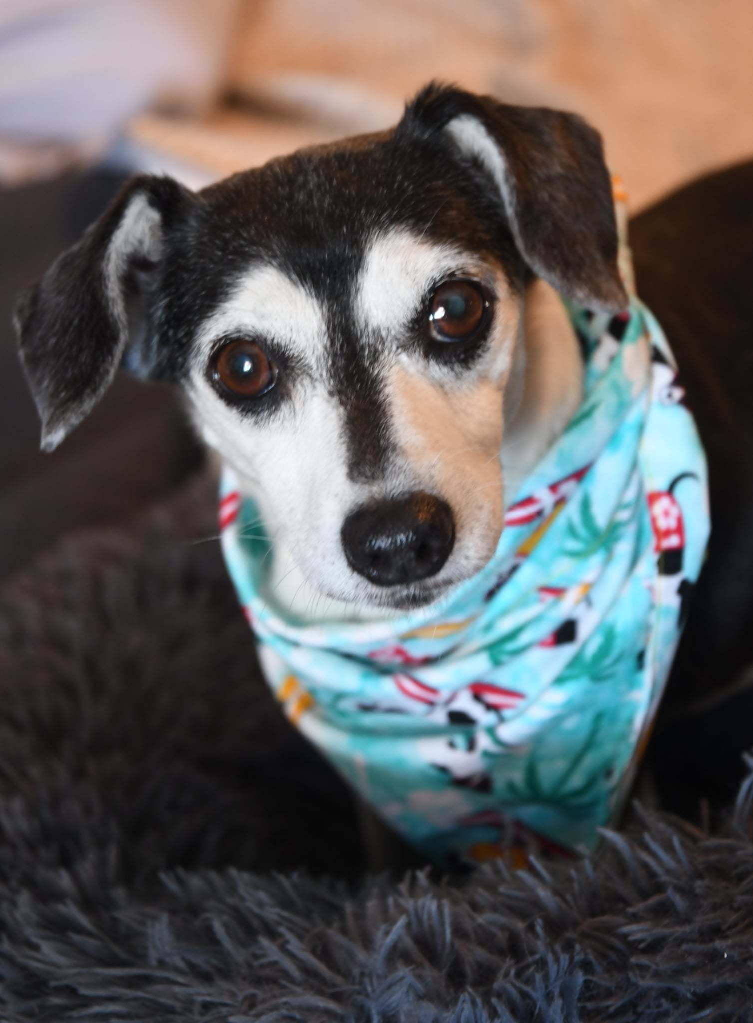 Lola Mae