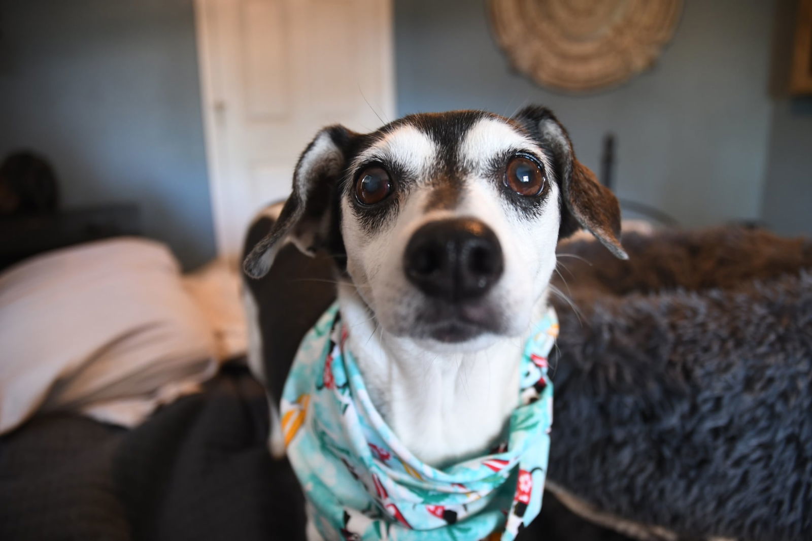 Lola Mae