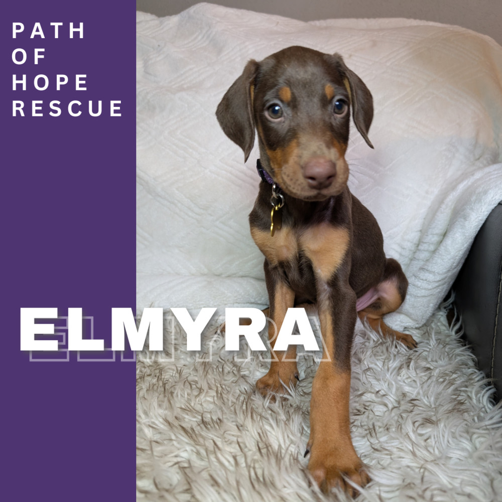 Elmyra