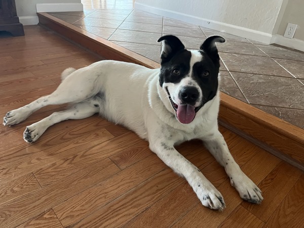 Benny