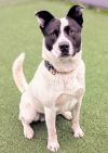 Benny photo 5