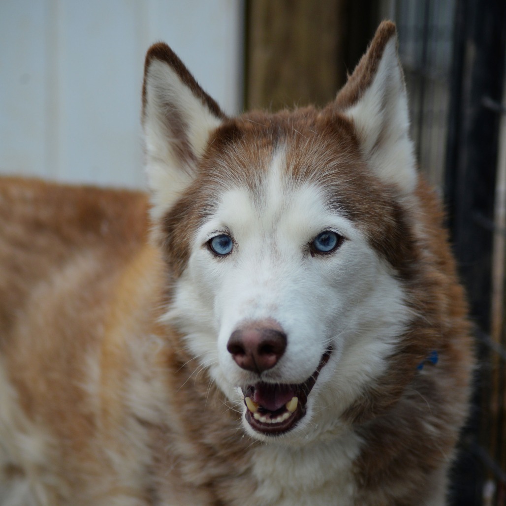 Burke (bonded with Thora)