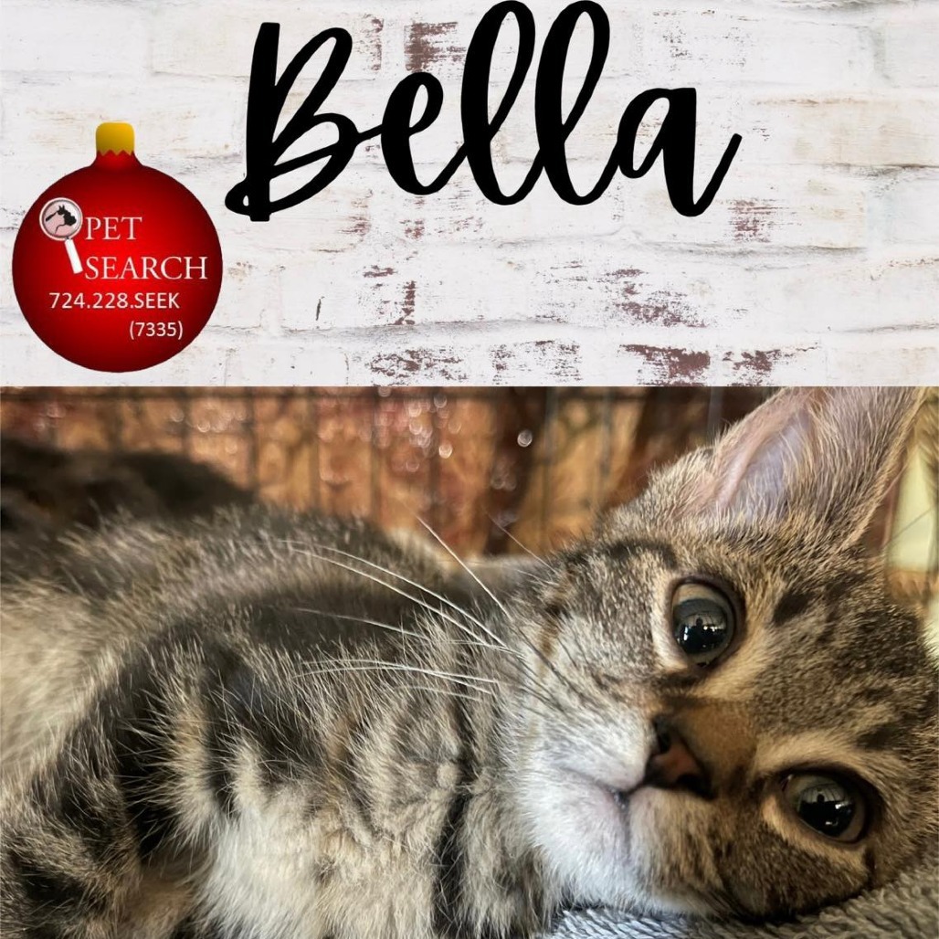 Bella