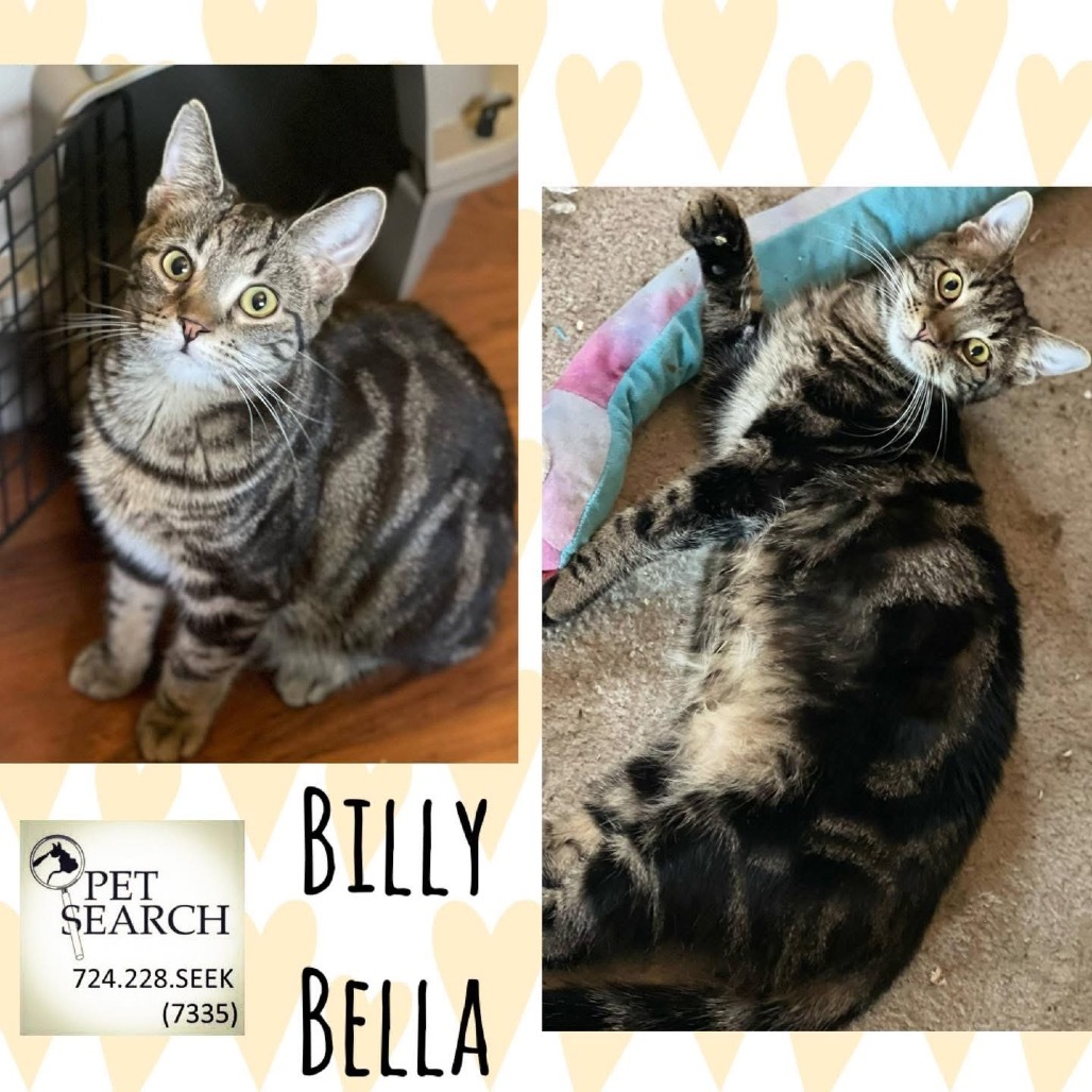 Bella