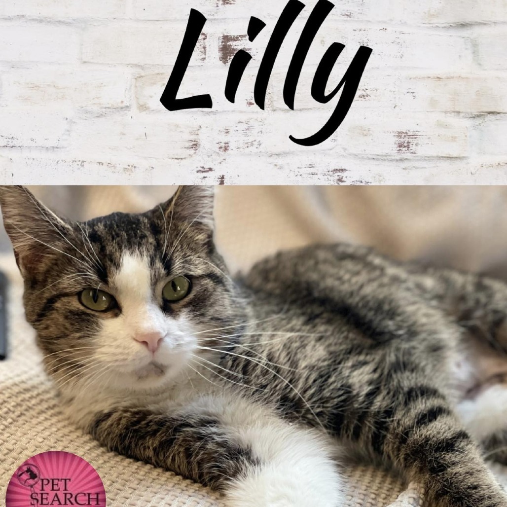 Lilly