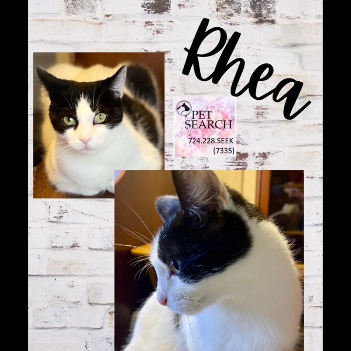 Rhea 1