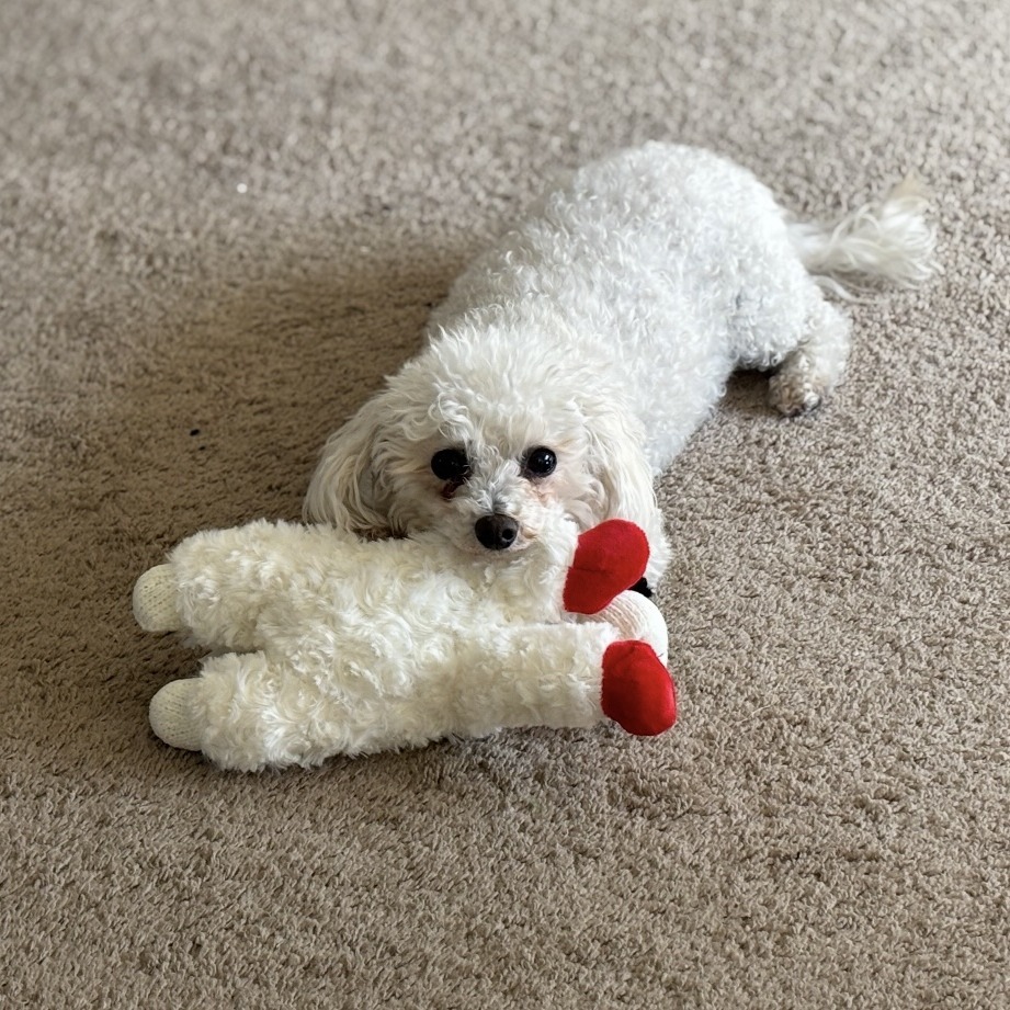 Ella