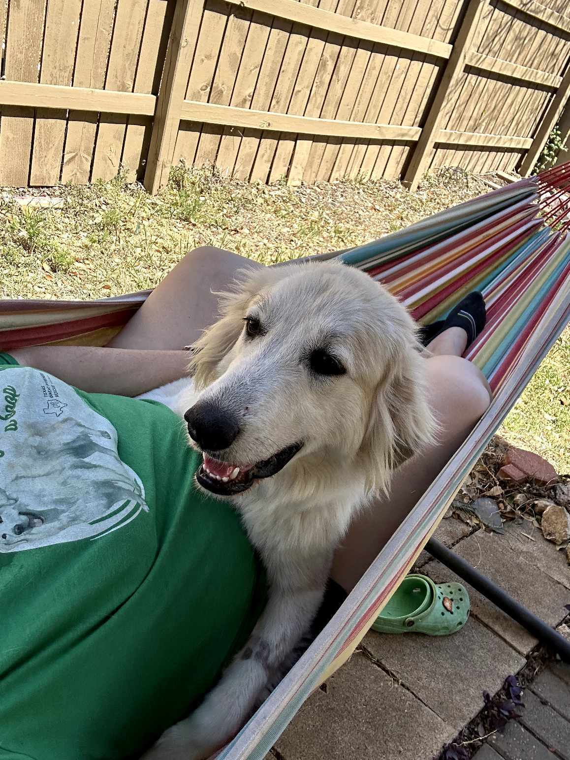 Pixie SAT