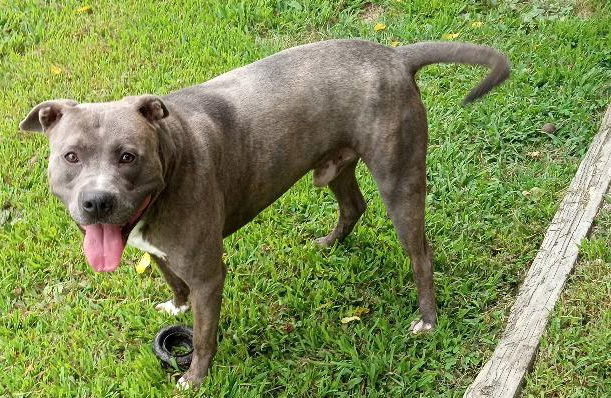 Remington