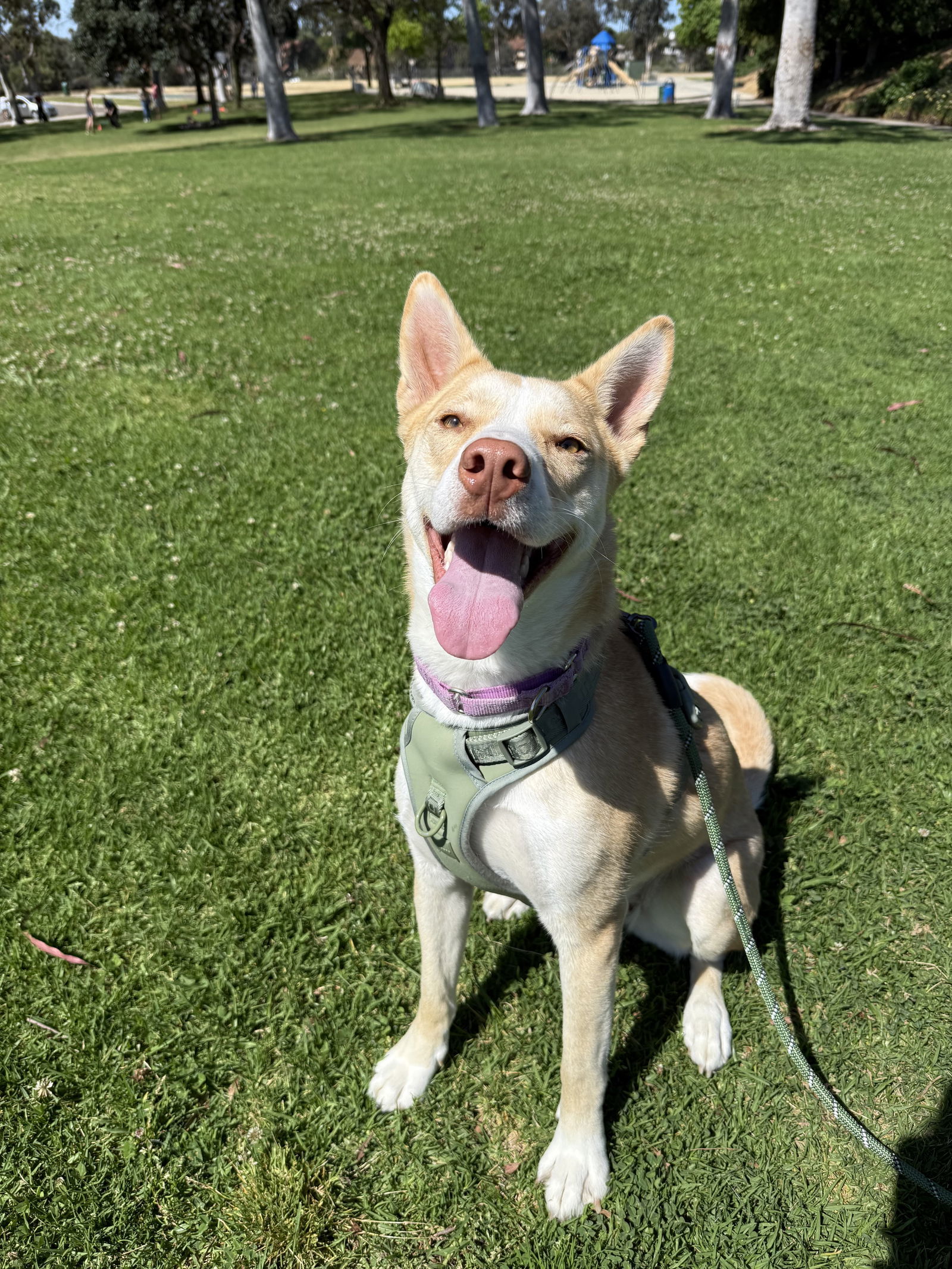 Lucy