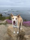 Lucy photo 2