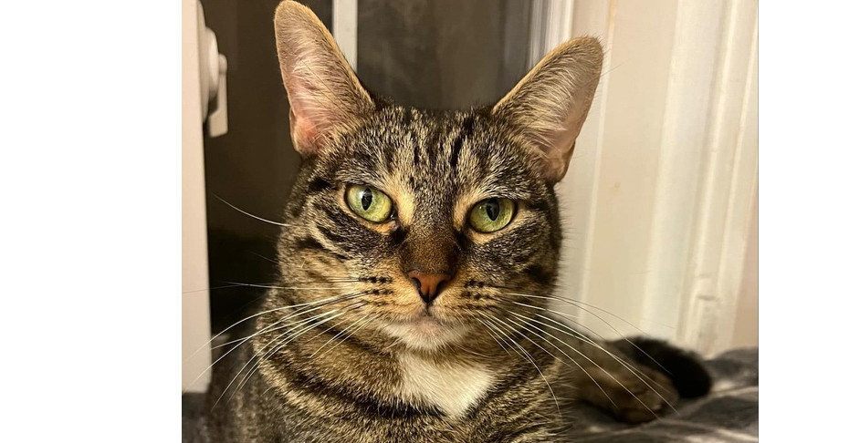 Mya