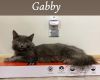 Gabby photo 2
