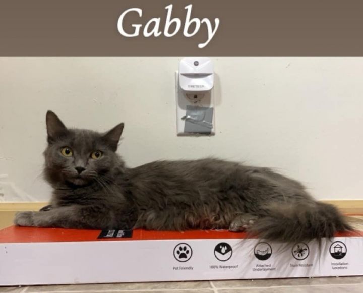 Gabby 2