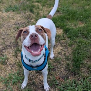 Monty (Long-Timer) $250