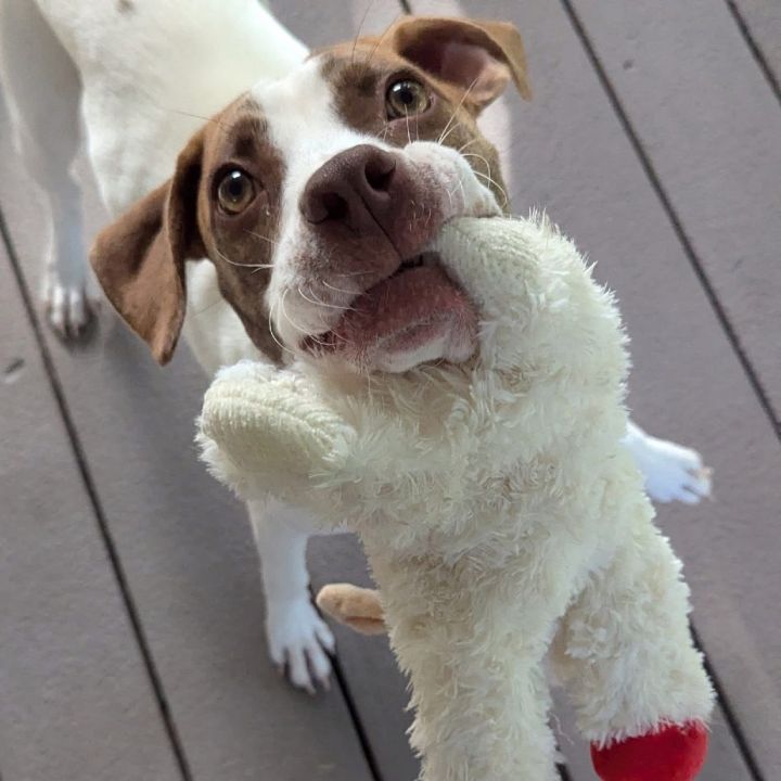 Monty (Long-Timer) $250 3