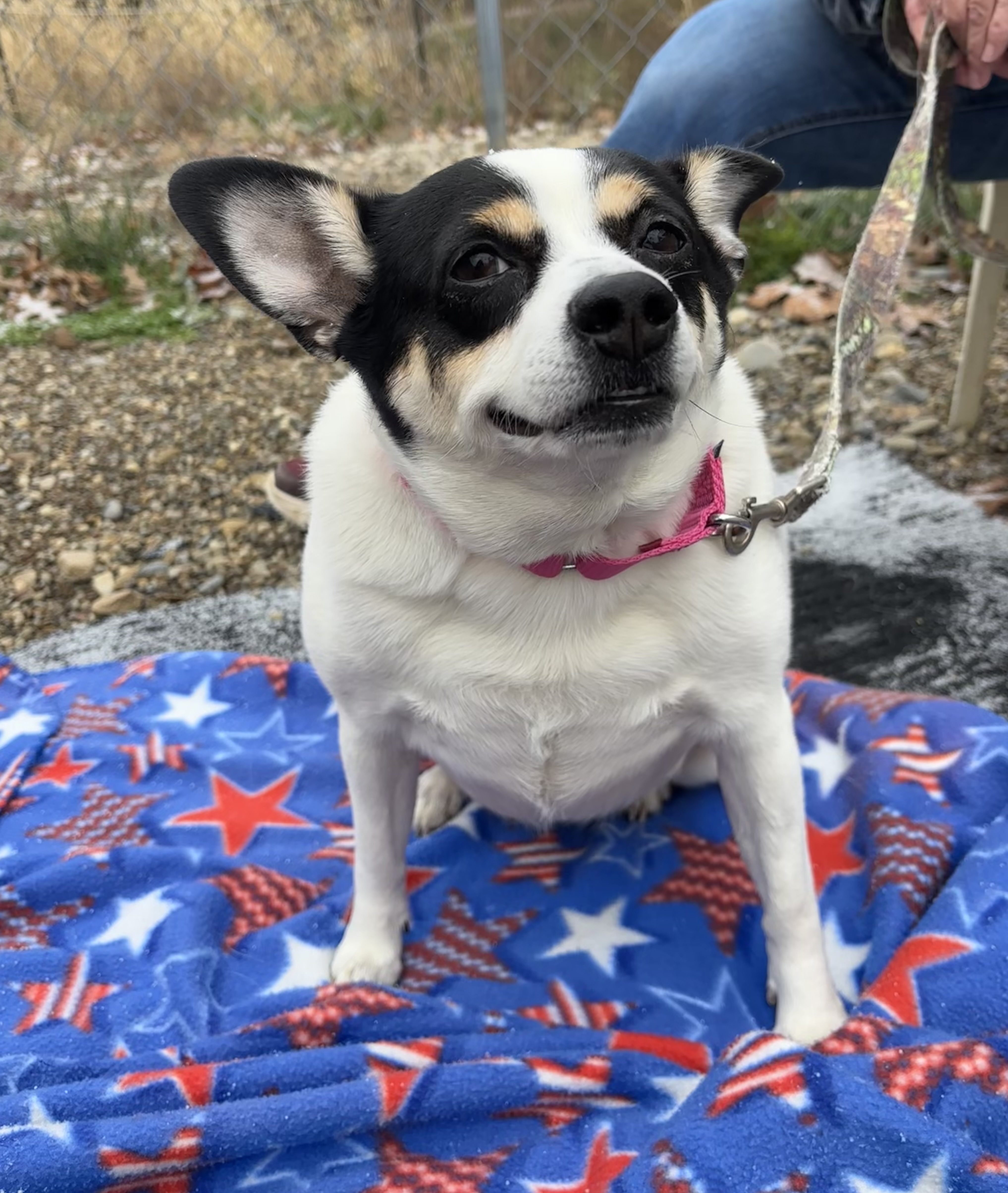Nala