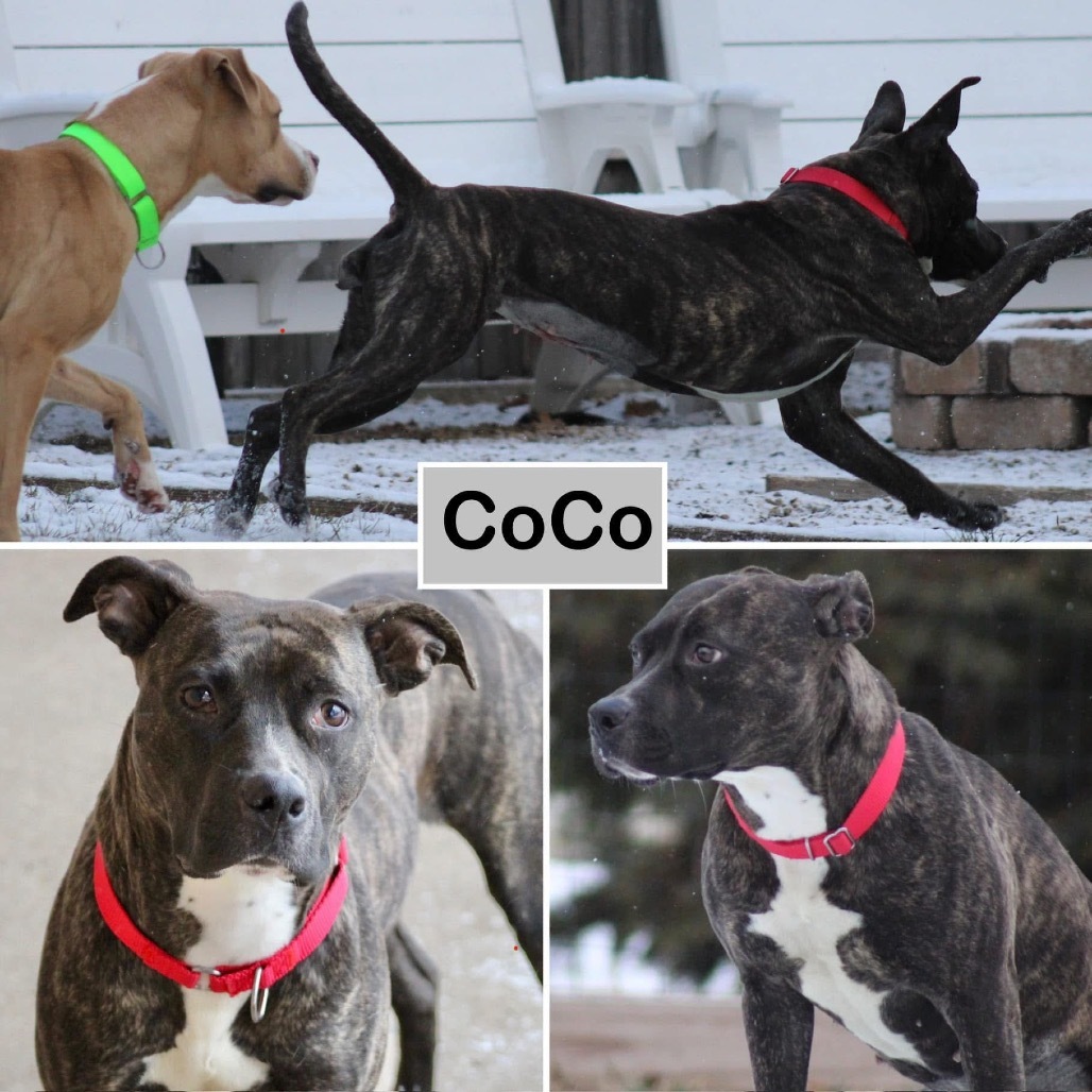 Coco