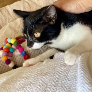 Cherish and her siblings had a bit of a rough start in life when they were abandoned outside of the