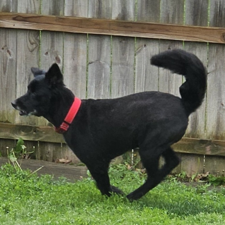 Zoom