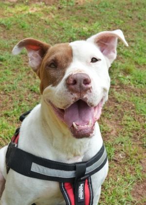 Lars is one of our longest residents and is ready to get the heck out of here He spent a