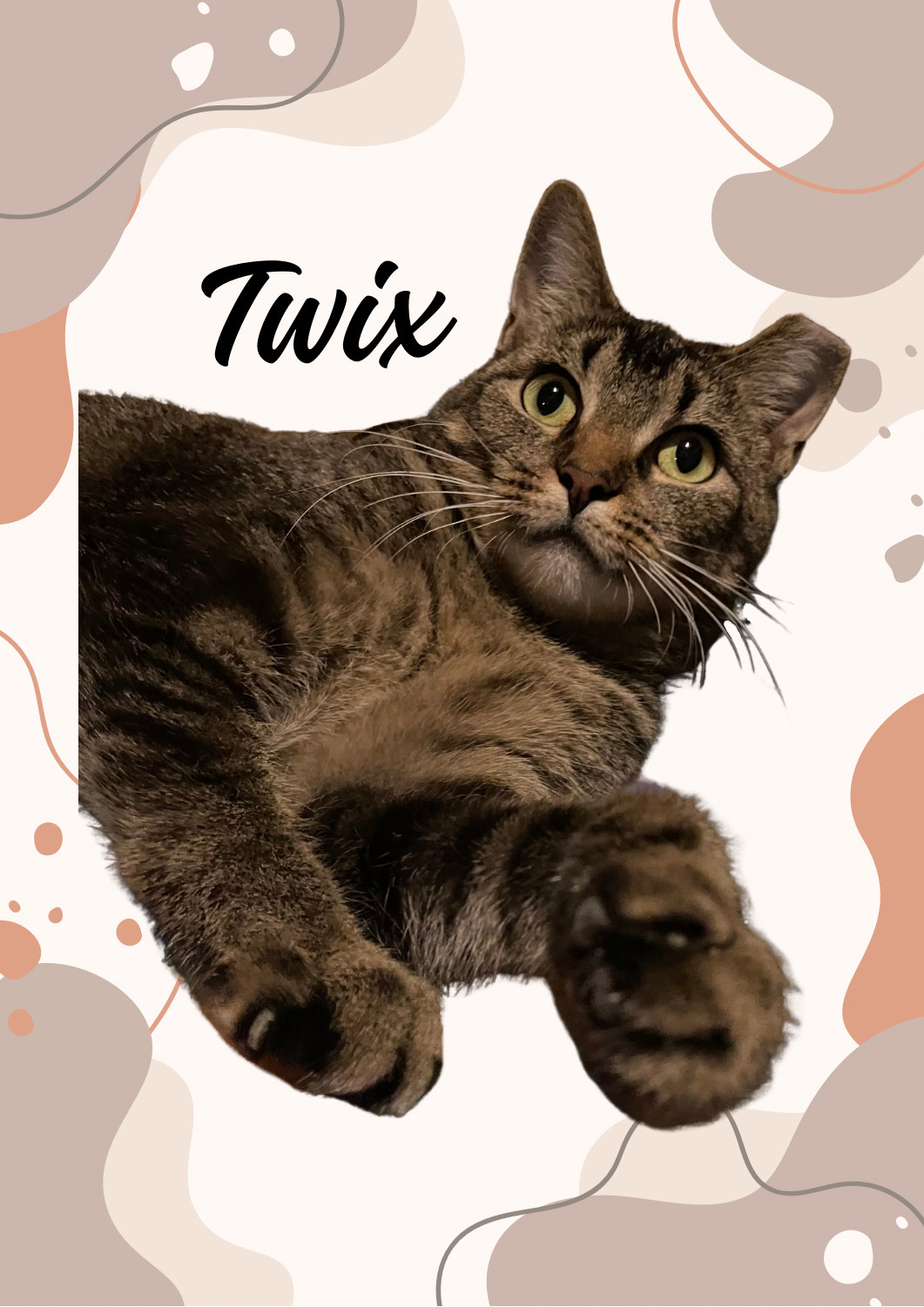 Twix
