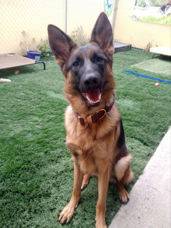 Athena
