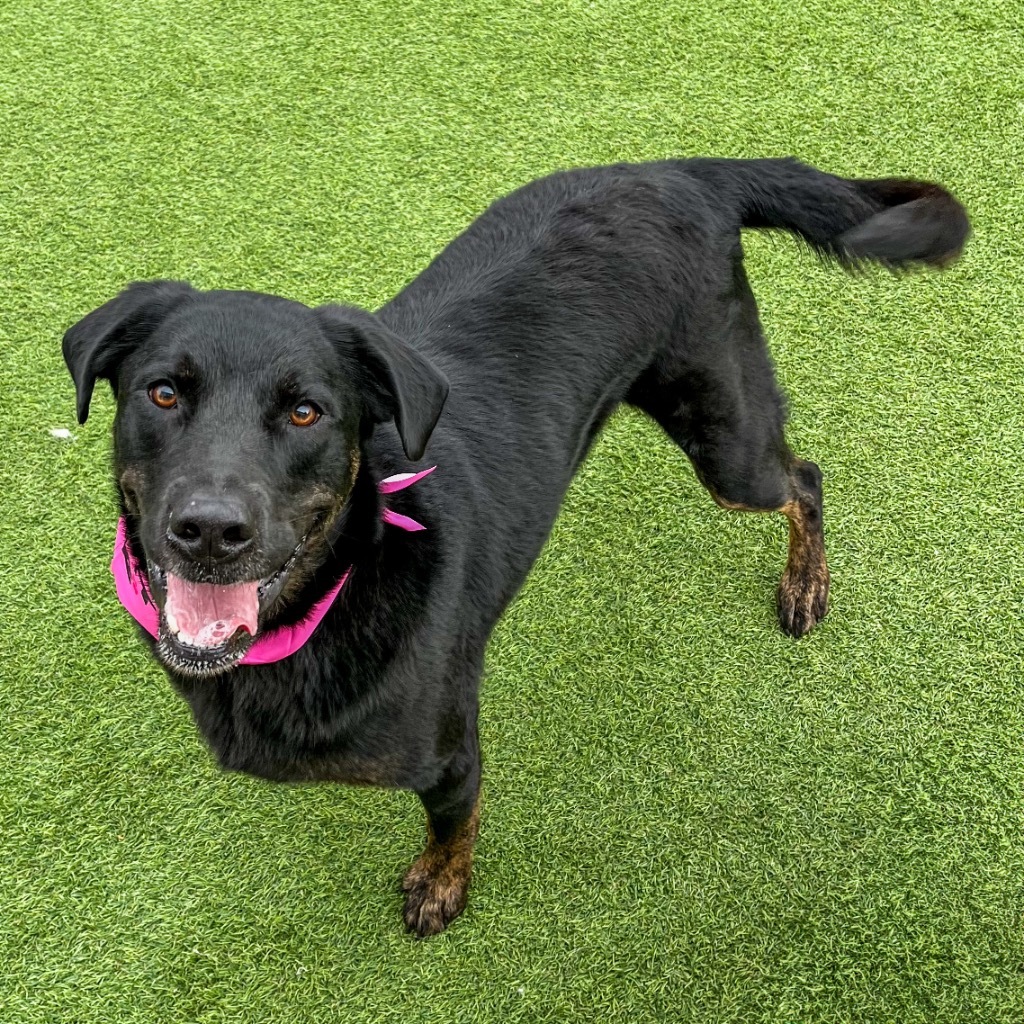 Zoe