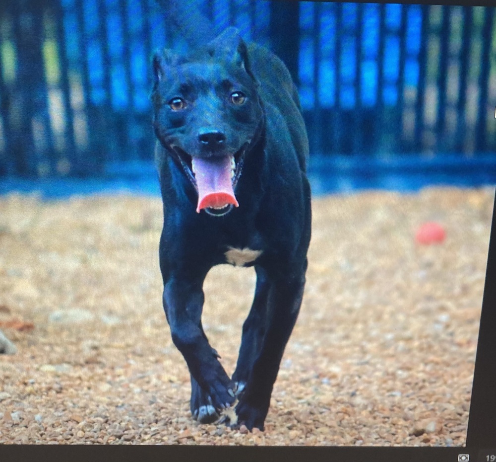 Loretta - Country Gal