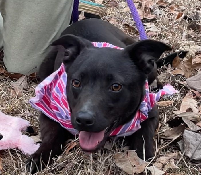 Loretta - Country Gal