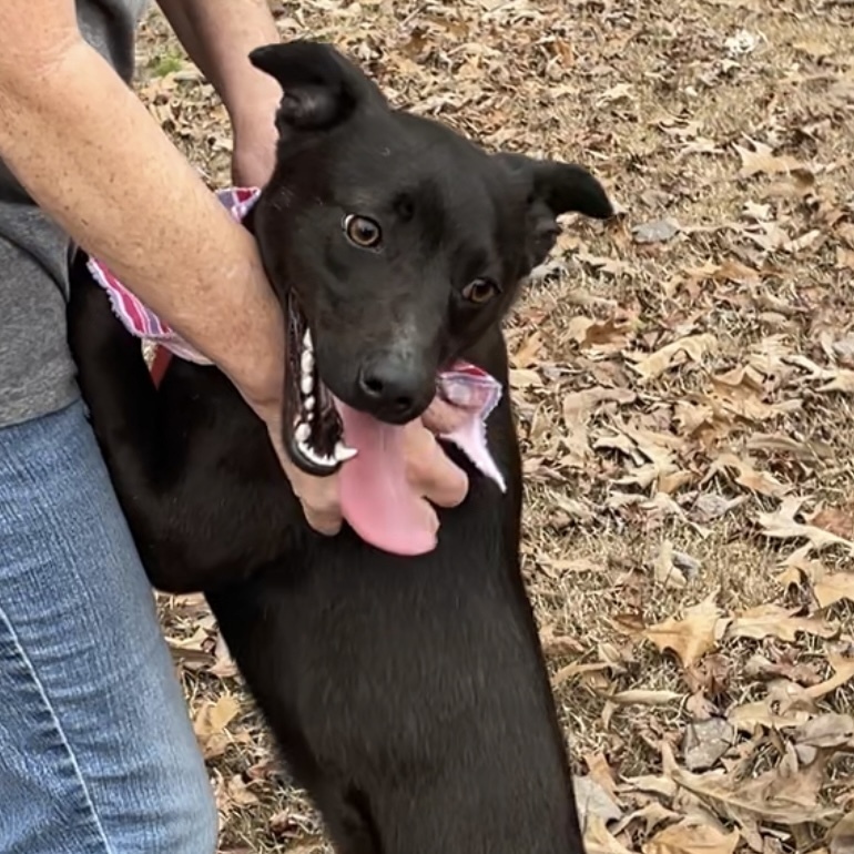 Loretta - Country Gal