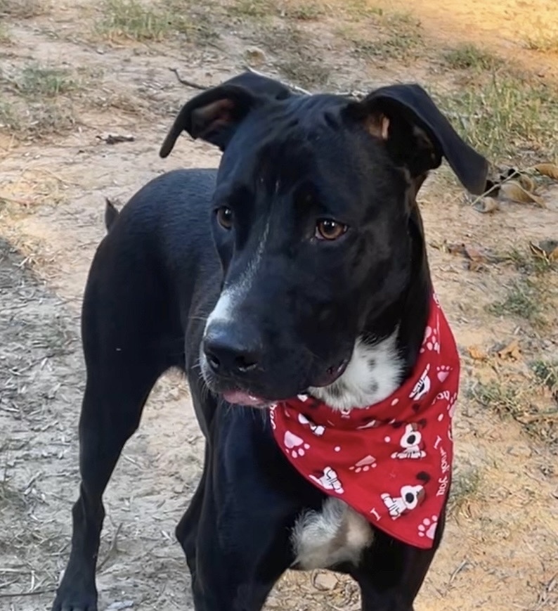 Ezra