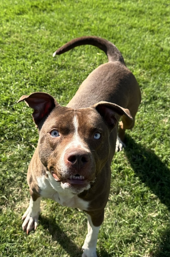 Penny