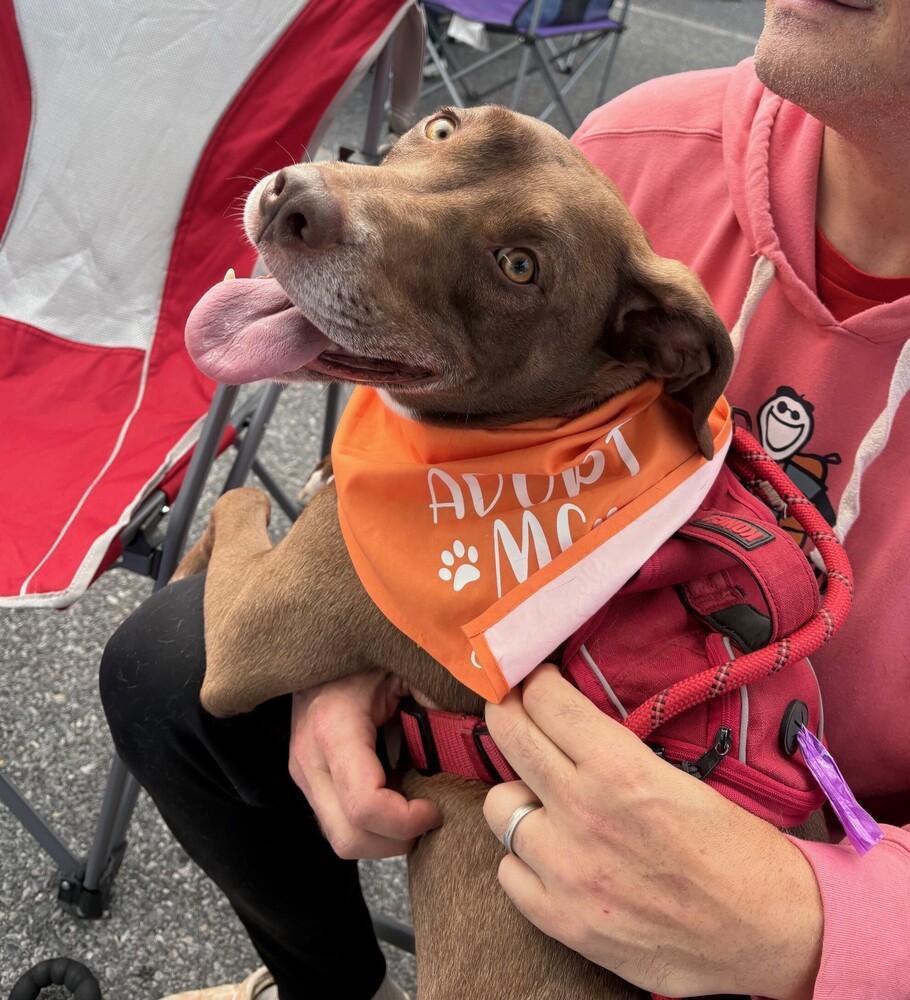 Reese - shed litter of 9