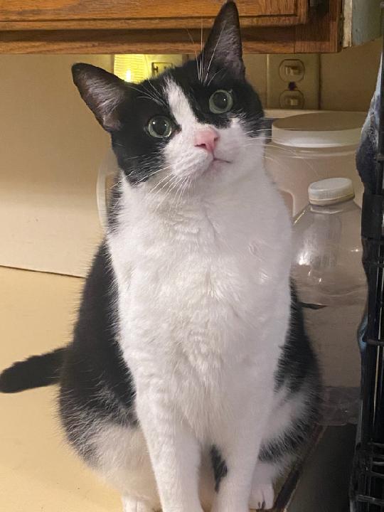 Bonnie