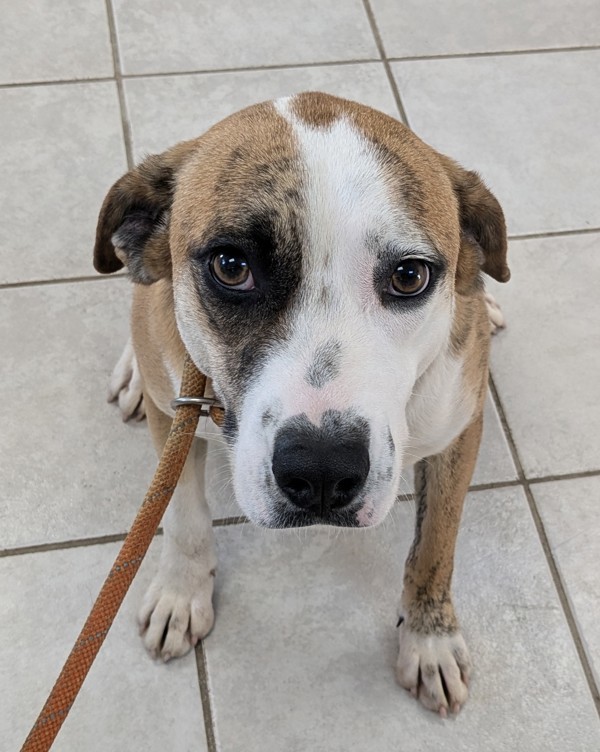 Roscoe