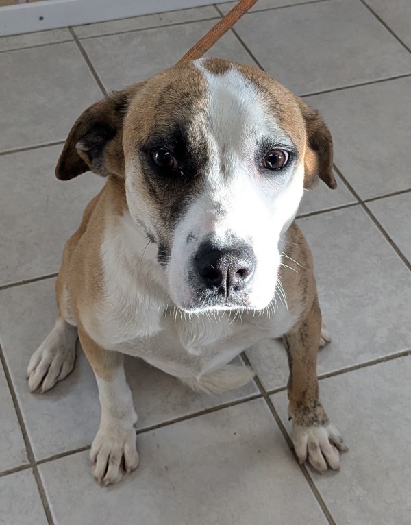 Roscoe