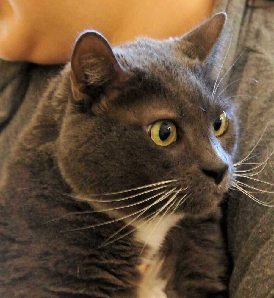 Charlie