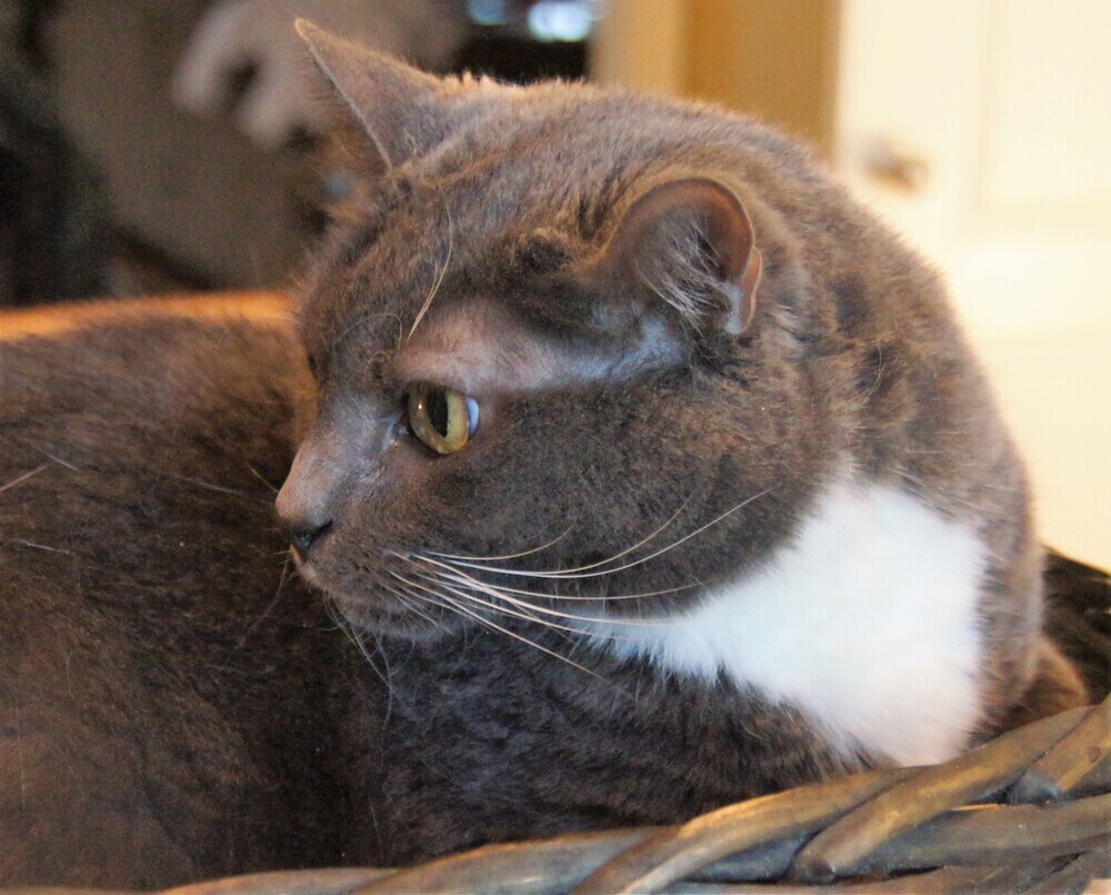 Charlie