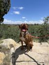 Ember photo 2