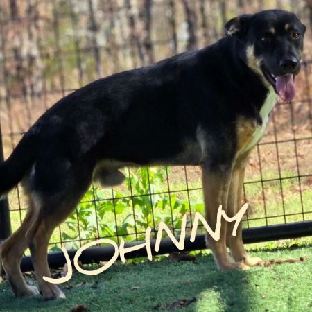 Johnny photo