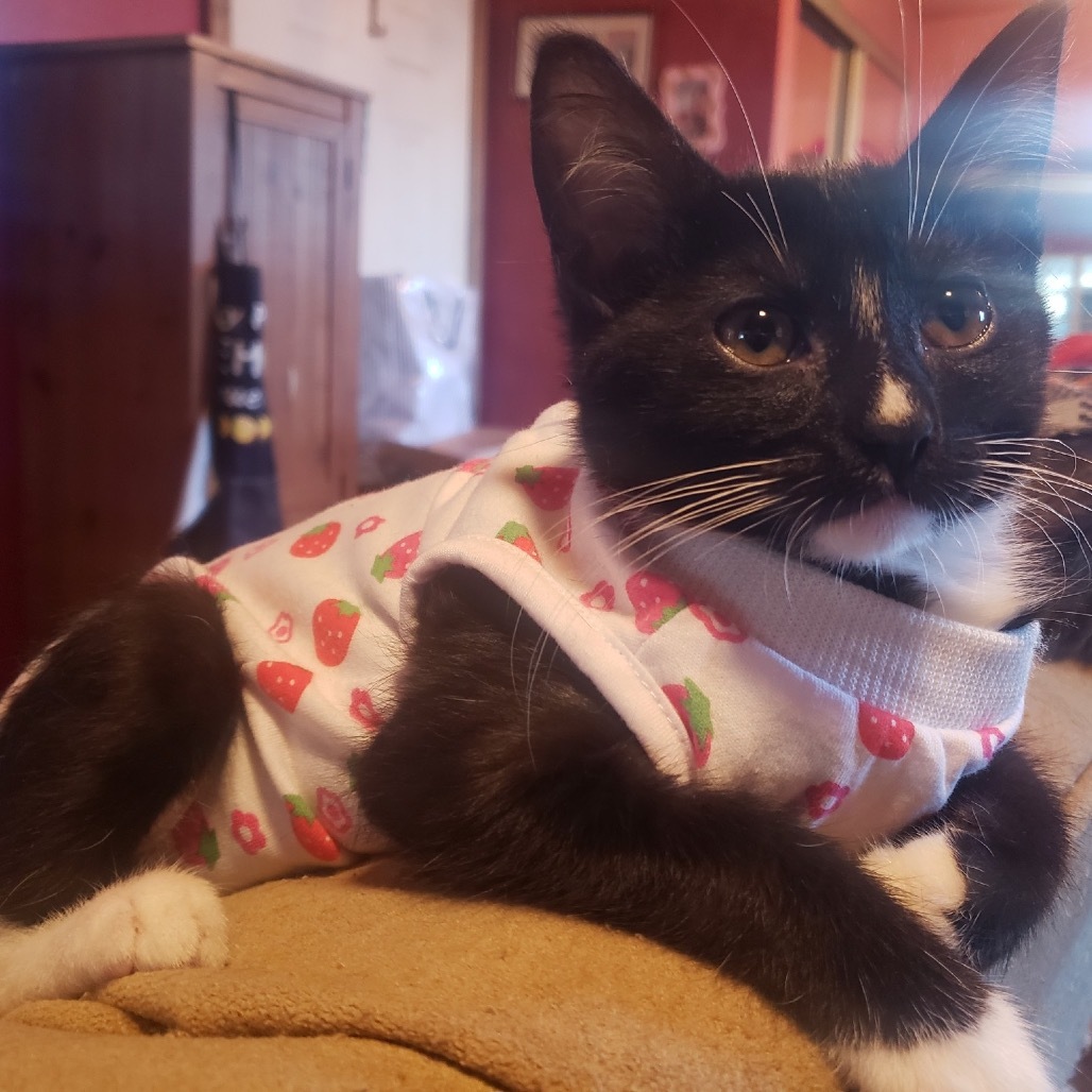 Leia