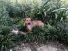 Skye photo 6