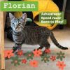 Florian photo 2